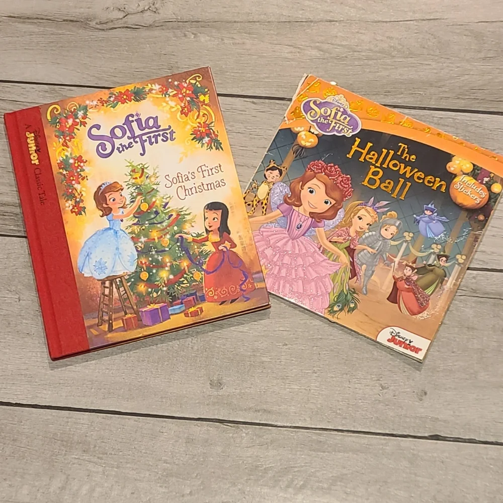 🐣 Sophia the First holiday book bundle 🧋 💫 🎠 🌸 🍀 ✨️☃️🦋🍍🐠🍬🍿🍕🐬